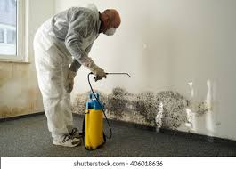 Best Black Mold Removal  in Bolivar, OH